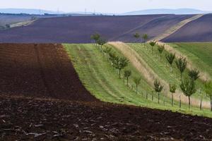 paisagem de outono em campos da morávia foto