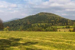 paisagem de outono com folhas amarelas em um dia ensolarado foto