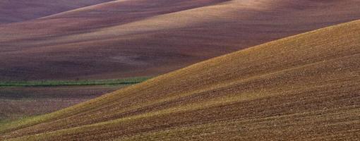 paisagem de outono em campos da morávia foto