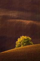 paisagem de outono em campos da morávia foto