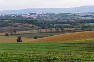 paisagem de outono em campos da morávia foto