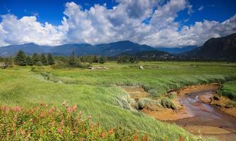 paisagem cênica da área de recreação Squamish Creek, árvores perenes em terras de pradaria perto do riacho. foto