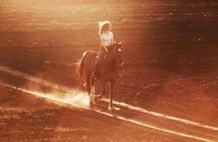 jovem de chapéu protetor montando seu cavalo no campo agrícola durante o dia ensolarado foto