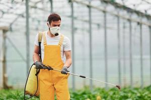 jovem trabalhador de estufa em uniforme amarelo e máscara protetora branca regando plantas usando equipamento especial dentro da estufa foto