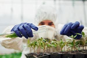 jovem trabalhadora de estufa em uniforme protetor branco completo regando plantas usando tubo de ensaio em estufa foto