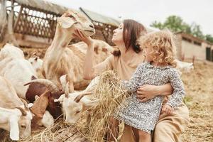 jovem mãe com sua filha está na fazenda no verão com cabras foto