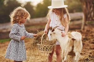 duas meninas juntas na fazenda no verão tendo fim de semana com cabras foto