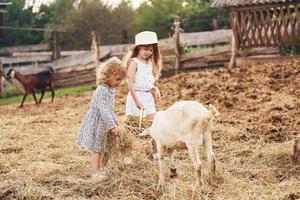 duas meninas juntas na fazenda no verão tendo fim de semana com cabras foto