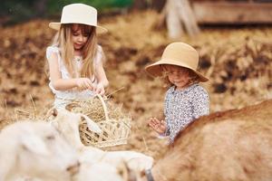 duas garotinhas juntas na fazenda no verão tendo fim de semana foto