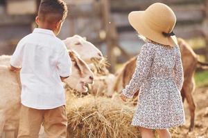 menino afro-americano bonitinho com garota europeia está na fazenda foto