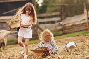 duas meninas juntas na fazenda no verão tendo fim de semana com cabras foto