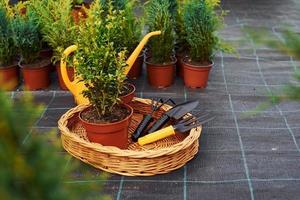 regador amarelo. plantas em vasos e ferramentas de trabalho no chão. concepção de jardinagem foto