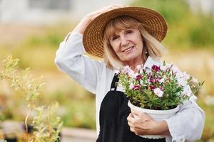 posando com vaso de flores nas mãos. mulher sênior está no jardim durante o dia. concepção de plantas e estações foto