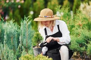 com pote nas mãos. mulher sênior de chapéu grande está no jardim durante o dia. concepção de plantas e estações foto