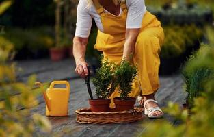 em uniforme de cor amarela. mulher sênior está no jardim durante o dia. concepção de plantas e estações foto