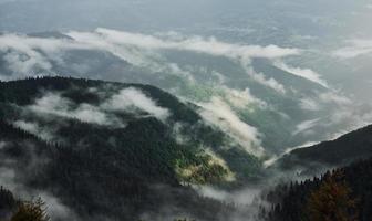 colinas cobertas de névoa. majestosas montanhas dos cárpatos. bela paisagem de natureza intocada foto