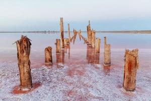 obstáculos de madeira no mar da ilha de jarilgach, ucrânia. durante o dia foto