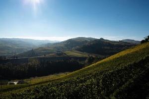 paisagens de outono no langhe piemontês perto de serralunga d'alba, com as cores vivas do outono piemontês foto