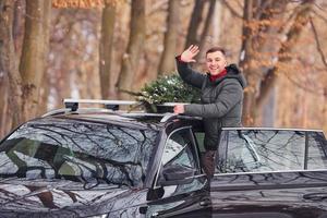 na floresta. homem com pequeno abeto verde está ao ar livre perto de seu carro. concepção de férias foto