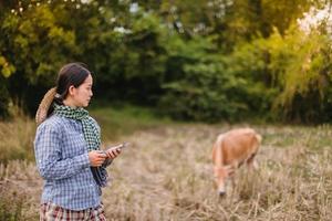 agricultora usando tecnologia móvel no campo de arroz