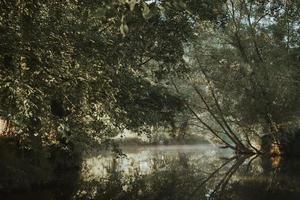 neblina sobre o rio com reflexo sob as árvores na manhã de verão com o sol nascente foto