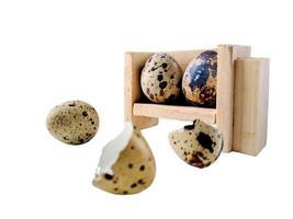 ovos de codorna de codorna, uma coleção de ovos de codorna em uma placa de madeira com fundo branco isolado