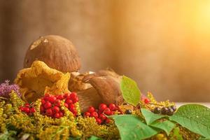 outono ainda vida de cogumelos foto