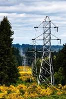 torre de energia elétrica em campo de vassoura escocesa floral amarela foto