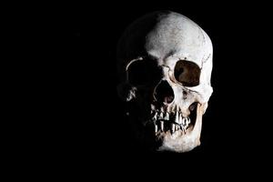 cabeça de crânio de esqueleto humano isolada em preto foto