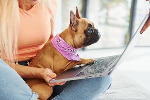 usando laptop. mulher com cachorro pug está em casa durante o dia foto