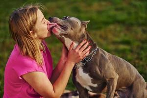 ao ar livre no campo. mulher em roupas casuais está com pit bull foto