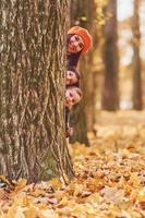 se escondendo atrás de uma árvore. mãe com seu filho e filha está se divertindo no parque outono foto