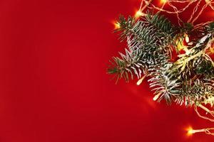 composição de natal com galho de árvore de natal sobre fundo vermelho. copie o espaço foto