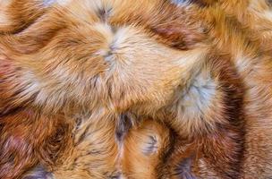 pele de raposa de perto. fundo de pele de animal ruiva, textura de pilha de pele. foto