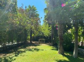 quintal de grama manila verde fresco, gramado liso decorado com pedra em um belo jardim de palmeiras botânicas e paisagens de bom atendimento no parque público sob céu nublado foto
