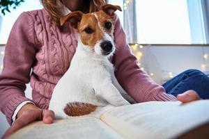 mulher segura cachorro e livro de leitura. relaxando junto com um animal de estimação foto