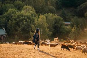 pastora e rebanho de ovelhas em um gramado foto