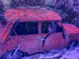 carro vermelho brilhante afundou no fundo do mar. teto e rodas com pintura rachada. ali perto, uma enguia subiu dentro do carro e pousa nas maçanetas foto