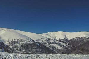 montanhas dos cárpatos com paisagem de neve photo foto