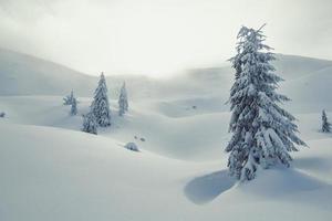 paisagem de encostas nevadas onduladas photo foto