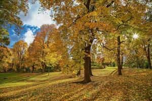 cair em uppsala foto