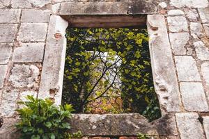 vistas de kotor da escada de kotor em montenegro foto