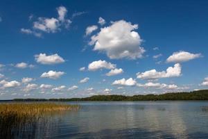 paisagens de verão à beira do lago na lituânia foto