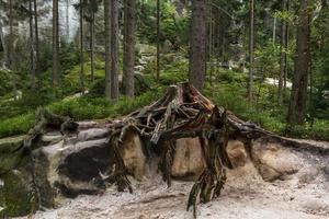 paisagens outonais de adrspach foto