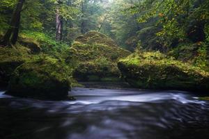 paisagens de outono em hrensko, rio kamenice foto