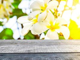 mesa de madeira velha vazia fundo de flor de frangipani branco com fundo de modelo de design de anúncio de produto de luz solar foto