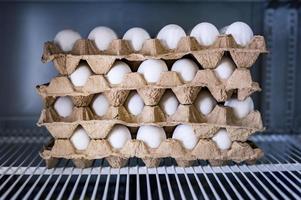 ovos de galinha em close-up de bandejas de papelão foto