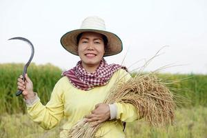 feliz agricultora asiática usa chapéu, tanga tailandesa, segura a foice para colher plantas de arroz no arrozal. conceito, ocupação de agricultura. agricultor com arroz orgânico. foto