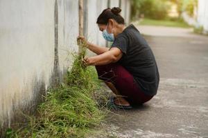 mulher asiática passa seu tempo livre para se livrar das ervas daninhas ao lado do caminho para a aldeia. conceito, tarefa, lazer, atividade de passatempo. serviço comunitário. foto