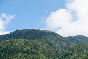 o pico da montanha alta na área de floresta tropical do parque nacional. foto
